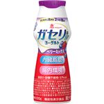 雪印メグミルク 恵 ガセリ菌SP株ヨーグルト ドリンクタイプ ベリーミックス 100g
