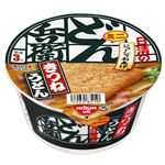 日清 どん兵衛 きつねうどん ミニ 42g