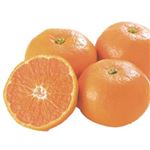 鹿児島県産など国産 みかん 1袋