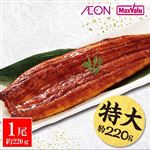 【7／17～19 12時～18時配送限定】原料原産地：鹿児島県・宮崎県 国産うなぎ蒲焼 1尾（約220g）たれ小袋付【冷蔵】A-002