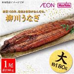 【7／17～19 12時～18時配送限定】原料原産地：鹿児島県 国産うなぎ蒲焼「柳川手焼きうなぎ」 1尾（約180g）たれ小袋付【冷蔵】A-009