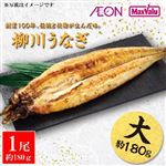 【7／17～19 12時～18時配送限定】原料原産地：鹿児島県 国産うなぎ白焼（素焼）「柳川手焼きうなぎ」 1尾（約180g）たれ小袋・ゆず胡椒付【冷蔵】A-010