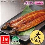 【7／17～19 12時～18時配送限定】原料原産地：鹿児島県 トップバリュグリーンアイ うなぎ蒲焼 1尾（約160g）たれ小袋付【冷蔵】A-007