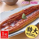 【7／17～19 12時～18時配送限定】原産国：中国 うなぎ蒲焼 1尾（約220g）たれ小袋付【冷蔵】A-008