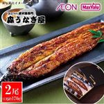 【7／17～19 12時～18時配送限定】佐賀 森うなぎ屋 鹿児島県産 うなぎ蒲焼セット 2尾入（1尾約170g）【冷凍】A-005