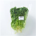福岡県産などの国産　レタス（グリーンリーフ）1／2カット