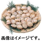 ボイルベビーほたて貝生食用100g