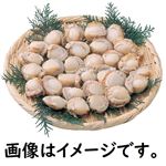 ボイルベビーほたて貝生食用100g（100ｇあたり398円）