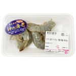エクアドル産 バナメイえび（養殖・解凍）神のえび 100g（100gあたり（本体）278円）