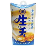 湖池屋 生・チー メルティーチーズ 6個入（3個×2袋入）