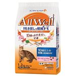 ユニ・チャーム AllWell 10種の自然素材と、栄養 10歳以上の腎臓の健康維持用 サーモン&ツナ味 1.2kg（300g×4袋）【猫用】