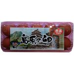 愛鶏園 島原の卵 10個入り