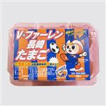 愛鶏園 Vファーレン長崎たまご赤 6個入