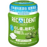 モンテリーズ リカルデント さっぱりミントガム ボトル 135.2g