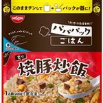 日清 パパパックごはん 炙り焼豚炒飯 200g