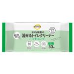 トップバリュベストプライス 99%除菌の流せるトイレクリーナー シトラスミントの香り 30枚入