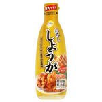 トップバリュベストプライス おろししょうが 特大サイズ 270g