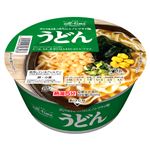THE all-time NOODLES うどん ノンフライ麺 73g