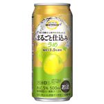 トップバリュベストプライス まるごと仕込み うめ 500ml