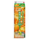 トップバリュベストプライス 温州みかん100%ジュース 900ml