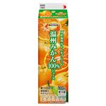 トップバリュベストプライス 温州みかん100%ジュース 900ml