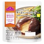 トップバリュ チーズインハンバーグ デミグラスソース 160g