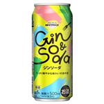 トップバリュベストプライス ジンソーダ 500ml