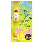 トップバリュ フェアトレード アールグレイ紅茶 ティーバッグ 2g×20袋入