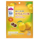 トップバリュ 糖類オフ かりんのど飴 76g