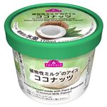 トップバリュ 植物性ミルクのアイス ココナッツ 110ml