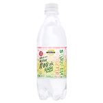 トップバリュベストプライス SparklingWater炭酸水 うめ風味 500ml