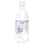 トップバリュベストプライス SparklingWater炭酸水 ブルーベリーの香り 500ml