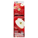 トップバリュベストプライス アップル100%ジュース 900ml