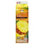 トップバリュベストプライス パインアップル100%ジュース 900ml