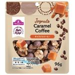 トップバリュ JoyNuts キャラメルコーヒー 96g