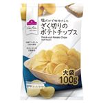 トップバリュ フリーフロム ざく切りのポテトチップス 100g