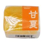 銀扇 甘夏 1個