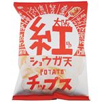 アイデアパッケージ 紅ショウガ天ポテトチップス 90g