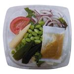 【E地域限定】【12：00～18：00の配送限定】旨塩ドレがおいしい彩り野菜サラダ 1パック