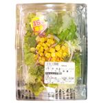 イオンフレッシュ 4571576715040.jpg