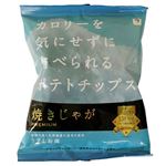 テラフーズ 焼きじゃが うすしお味 31g
