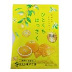 南信州菓子工房 ひとくちはっさく 24g