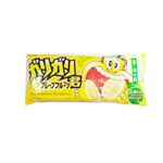 赤城乳業 ガリガリ君 グレープフルーツ 105ml