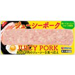 伊藤ハム ジューシーポーク 140g