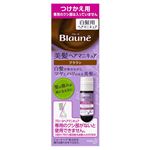花王 ブローネ 美髪ヘアマニキュア ブラウン つけかえ用 72g