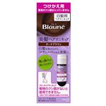 花王 ブローネ 美髪ヘアマニキュア ダークブラウン つけかえ用 72g