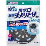 花王 キッチンハイター 除菌ヌメリとり 本体ゴム 1個