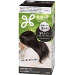 花王 リーゼ泡カラー ナチュラルブラック 115ml