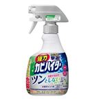 花王 強力カビハイター ツンとしないタイプ ハンディスプレー 本体 360ml