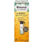 花王 ブローネ ナチュリラ 色長持ちカラートリートメント アッシュブラウン 本体 155g